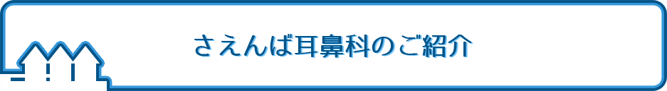 さえんば耳鼻科のご紹介